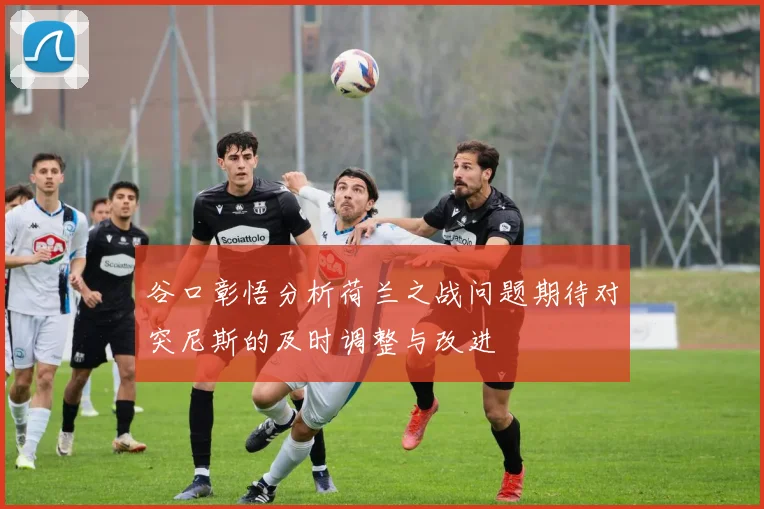 谷口彰悟分析荷兰之战问题期待对突尼斯的及时调整与改进