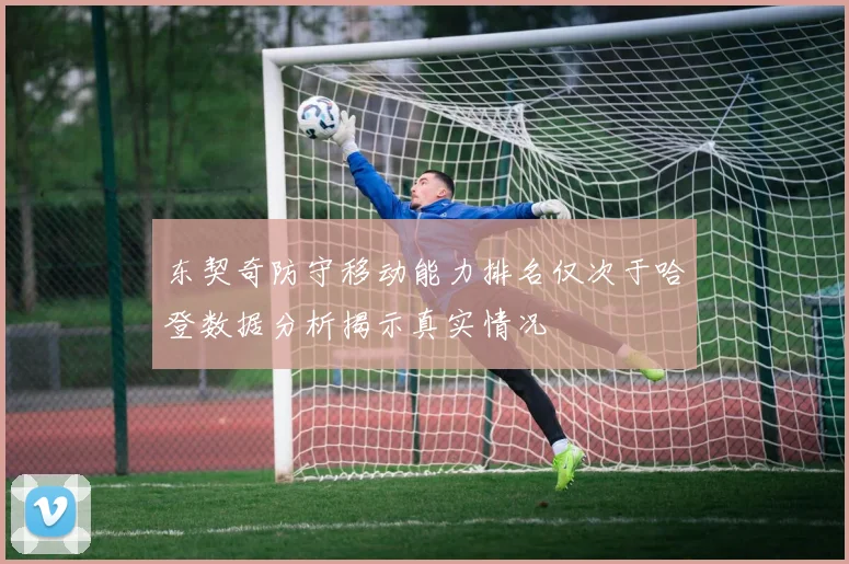东契奇防守移动能力排名仅次于哈登数据分析揭示真实情况